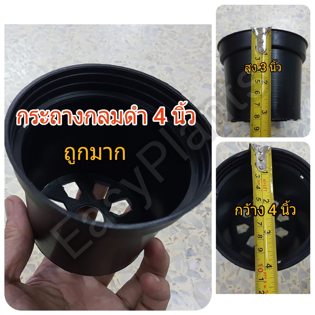 กระถาง พลาสติก กลม ดำ 4,6,8,11 นิ้ว ใช้ปลูกต้นไม้ ดอกไม้ ปลูกต้นไม้ สี่เส้น ทำการบ้านส่งครู