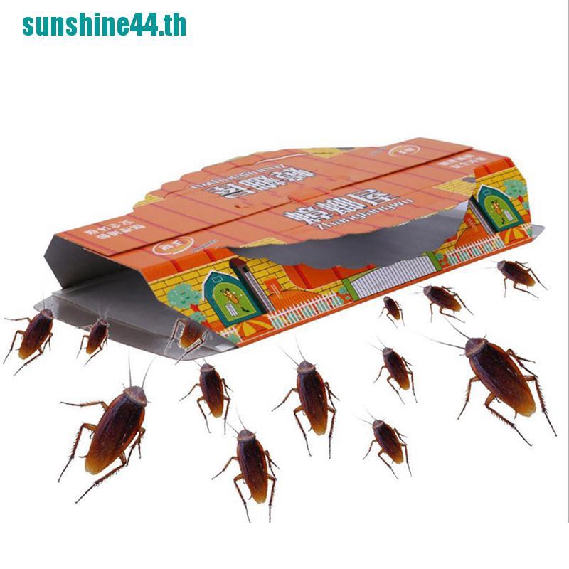 sunshine44】Non-toxic Cockroach House Cockroach Trap Repellent Killing  Strong Sticky Traps | Shopee Thailand