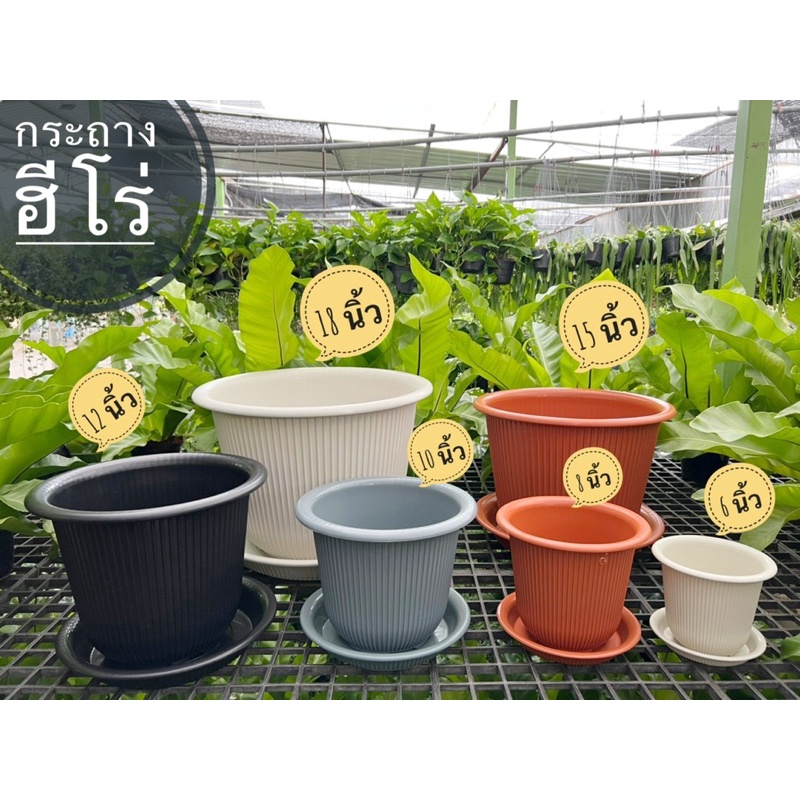 ‼️ถูก  และหนา‼️ กระถางฮีโร่ พร้อมจานรอง 6นิ้ว-15นิ้ว แบบหนา