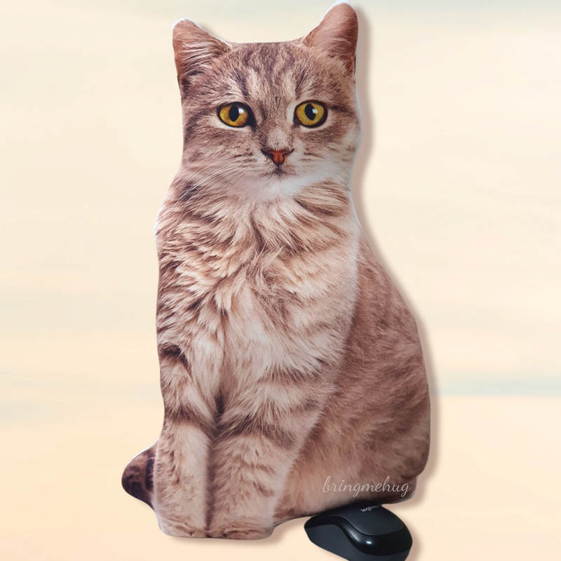 หมอนอิงพิมพ์ลายน้องแมว British Shorthair ขนาด 50ซม หมอน3D 3มิติ หมอนแมวน่ารัก นุ่มนิ่ม ของขวัญ