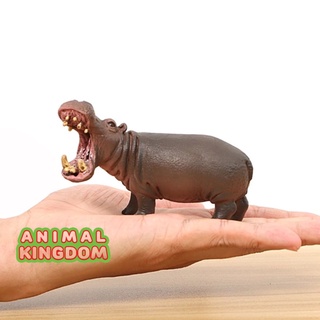 Animal Kingdom - โมเดลสัตว์ ฮิปโปโปเตมัส ขนาด 10.50 CM (จากหาดใหญ่)