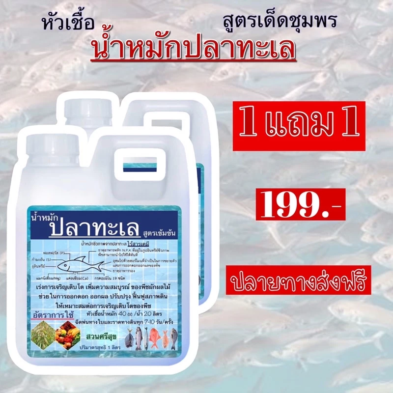 น้ำหมักปลาทะเลสูตรเด็ดชาวชุมพร 🐟