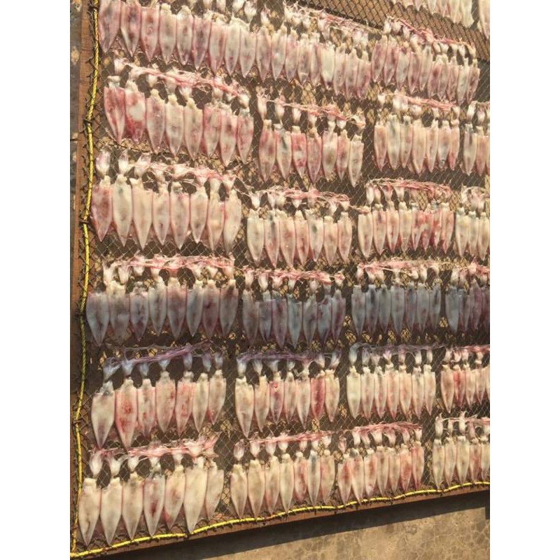 ปลาหมึกแพบ้านเพ เนื้อหวานไม่เค็มมาก - รูปที่ 3