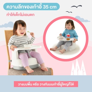 เก้าอี้กินข้าวเด็ก เก้าอี้บูสเตอร์ ปรับได้ 2 ระดับ Richell Baby Chair ริเชล