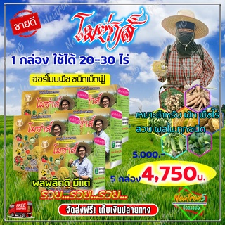💥ส่งฟรี 💥 ปุ๋ยโมซ่าส์ โมซ่าส์ MOZA ( 5 กล่อง ) โมซ่า ปุ๋ยฮอร์โมน กรดอะมิโนสูง สำหรับพืชไร่ พืชสวน ข้าว บำรุงใบ บำรุงราก