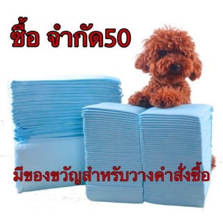 แผ่นรองฉี่ Hi Pet ขนาด 33x45 ซม.  100 แผ่น,  45x60  50 แผ่น