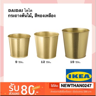 IKEA อิเกีย - กระถางต้นไม้, สีทองเหลือง DAIDAI ไดได