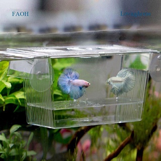 Lovinghome Fish Breeding Box Aquarium Isolation Case Fish Floating Hatchery Transparent Small Fish Hatching Spawning Box Fry Farming Pet Fish Protection Supplies with Suction Cup for Aquarium Fish Tank Home