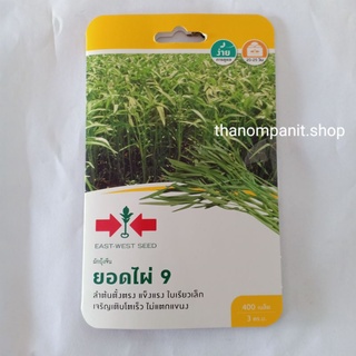 เมล็ดพันธุ์ เมล็ดผัก **ผักบุ้งจีน** ยอดไผ่9 ศรแดง 400เมล็ด(ซองเล็ก)