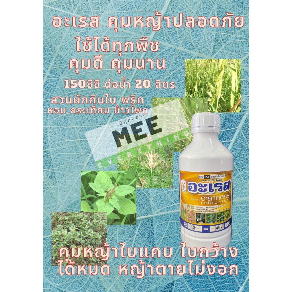 คุมหญ้า หญ้าใบแคบใบกว้าง หญ้าไม่งอก คุมแปลงพริก ถั่วลิสง ถั่วฝักยาว แตง มะเขือ ดอกไม้ พืชผักสวนครัว ฉีดได้3ไร่