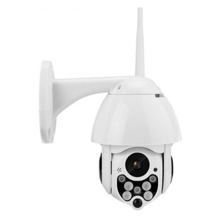 กล้องวงจรปิด IP CAMERA Outdoor mini ptz dome machine