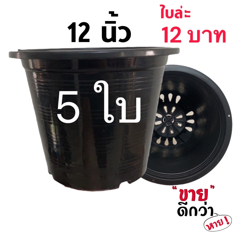 กระถางต้นไม้ 12  นิ้ว 5 ใบ