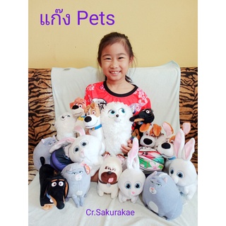 (พร้อมส่ง) ตุ๊กตาแก๊งขนฟู หมาPets แก๊ง Pets ตุ๊กตามือสอง ตุ๊กตาลิขสิทธิ์แท้  ตุ๊กตาผ้า