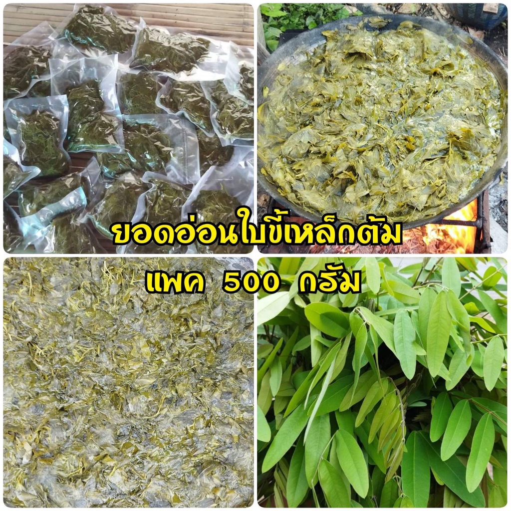 (พร้อมส่ง) ผักขี้เหล็กต้ม ( 500 กรัม) เนื้อล้วนไม่มีน้ำ ใบขี้เหล็กต้ม ผักขี้เหล็ก แกงใส่ หนังควาย หน