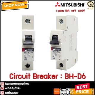 Circuit Breaker (MCB) BH-D6,1P 10A