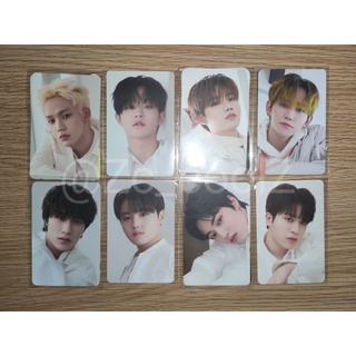 (พร้อมส่ง) Treasure photocard pob ktown