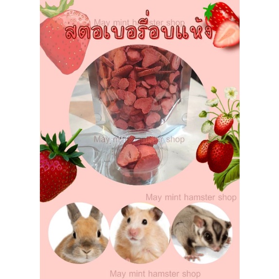สตอเบอรี่อบแห้งแบ่งขายขนาดทดลอง