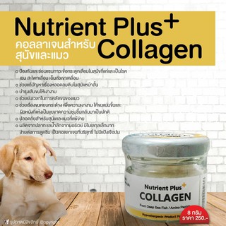 อาหารเสริม Nutrient Plus ผงคอลลาเจน บำรุงขน ผิวหนัง และข้อต่อ สำหรับสุนัขและแมว ขนาด 8 กรัม