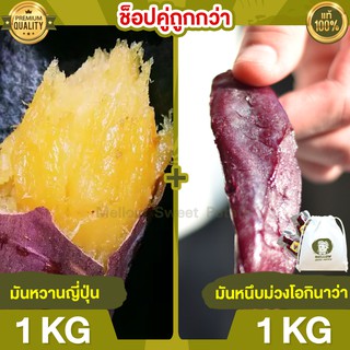 Duo Set ถูกกว่า มันหวานญี่ปุ่น 1kg + มันหนึบม่วง 1kg มันหนึบ โอกินาว่า มันญี่ปุ่น มันหวานญี่ปุ่น มันญี่ปุ่นหวาน