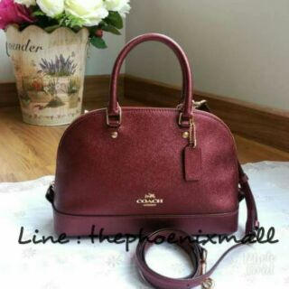 MINI SIERRA SATCHEL COACH F22315