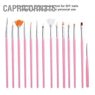 Capricorn315 ชุดแปรงปากกา สําหรับตกแต่งเล็บ