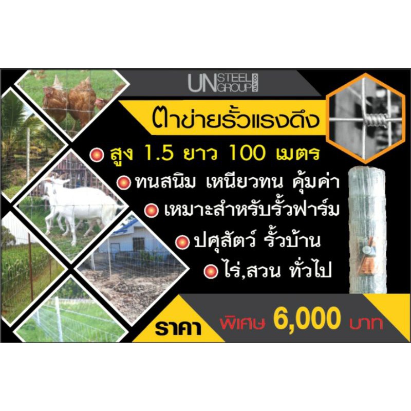 My Image 20