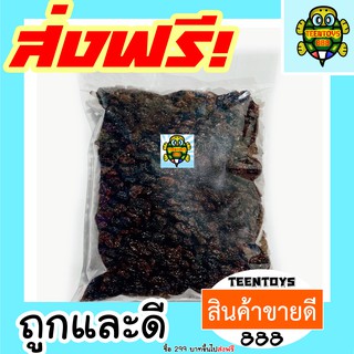 [ลด25% โค๊ต25CCB99] ลูกเกดดำ เกดดำ [พร้อมทาน] เต็มเมล็ดใหญ่ เกรด AAA 250 กรัม ผลิตใหม่ตลอด ไม่เหม็นหืน