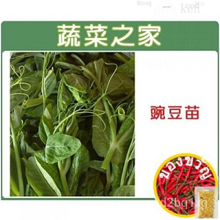 【ผักบ้าน】E07.豌豆苗เมล็ด100ดาว(ถั่วเหลืองต้นกล้า.โดยที่มีความละม้ายคล้ายกันและไม่ละม้ายคล้ายกันนุ่มเล็กๆน้อยๆ.คั่ว.แผนที่แล