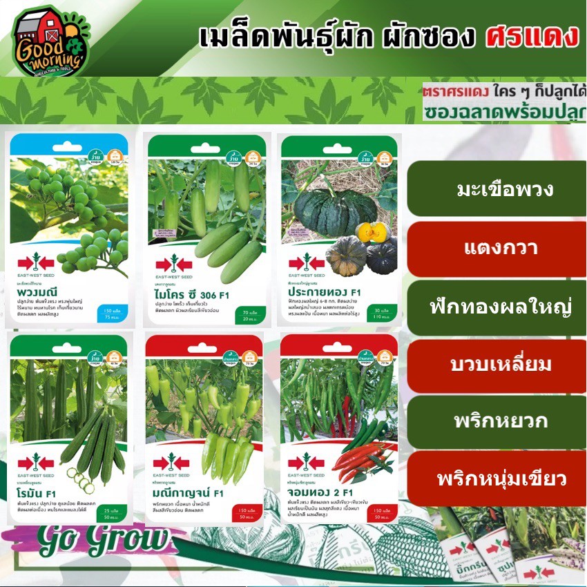 SORNDAENG ผักซอง ศรแดง เมล็ดพันธุ์ มะเขือพวง แตงกวา ฟักทอง บวบเหลี่ยม พริกหยวก พริกหนุ่มเขียว เมล็ดพันธุ์ผัก ผักศรแดง