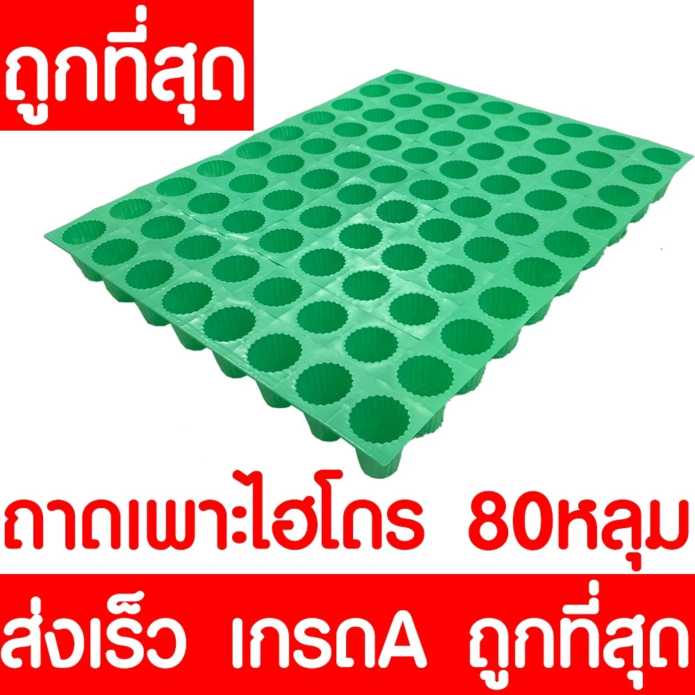 *โค้ดส่งฟรี* ถาดเพาะไฮโดร ถาดเพาะเมล็ด ถ้วยปลูกผัก ไฮโดรโปนิกส์ ต้นกล้า สลัด ไซริงค์ ฟองน้ำ ที่คีบ MAXX