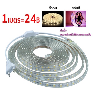 10m ตกแต่งกลางแจ้งได้ กันน้ำ ทนทานต่อแดดLED strip light 220V ไฟเส้น ไฟตกแต่งห้อง ตกแต่งรถ ไฟประดับห้อง