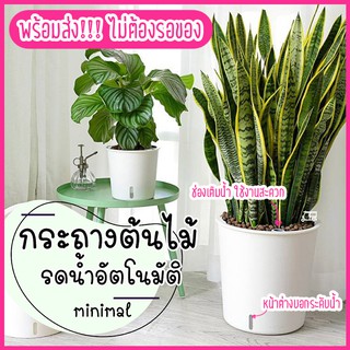 กระถางต้นไม้ 🌱 กระถางต้นไม้พลาสติก กระถาง ต้นไม้​ แบบ​เก็บ​น้ำ​ได้​ รด​น้ำ​อัตโนมัติ​ มอนสเตอร่า ต้นไม้ กระถางพลาสติก