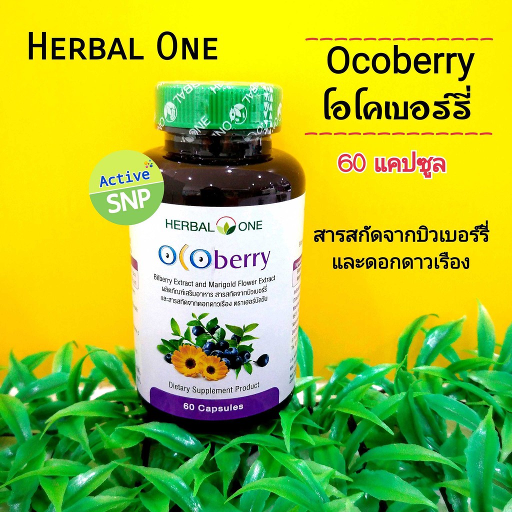 (บำรุงสายตา) Herbal One Ocoberry เฮอร์บัล วัน โอโคเบอร์รี่ (อ้วยอันโอสถ) 60 เม็ด/ขวด