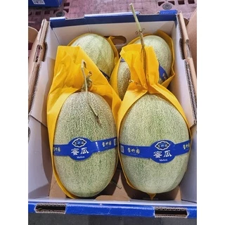 🍈แตงทิเบต ฮามิกัว เมล่อน (1ลูก)