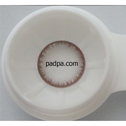 Neo Cosmo Dali Sweet Chocolate Brown (รายเดือน)