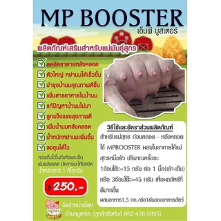 ราคาเอ็มพี บูสเตอร์ MP Booster บำรุงน้ำนมในสุกร ช่วยให้น้ำนมดี ลูกแข็งแรง เป็นสัดเร็ว เก็บเงินปลายทาง