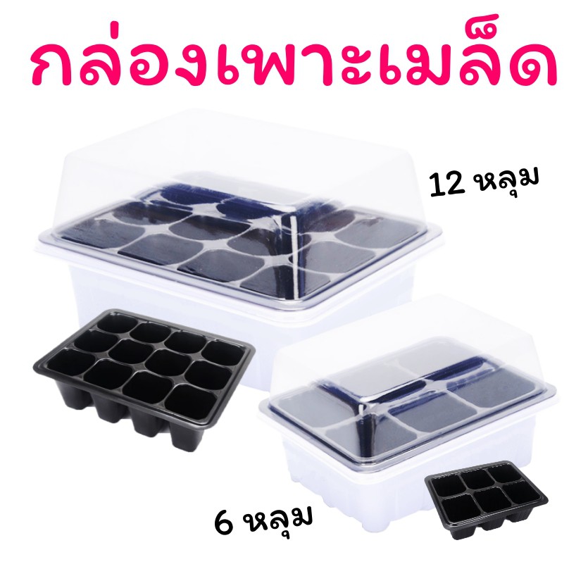 กล่องเพาะเมล็ด อุปกรณ์จัดสวน 6 และ12 หลุม (ฝาครอบใส) เหมาะสำหรับ เพาะกล้า เพาะต้นอ่อน หรือ เพาะเมล็ดแคสตัส (กระบองเพชร)