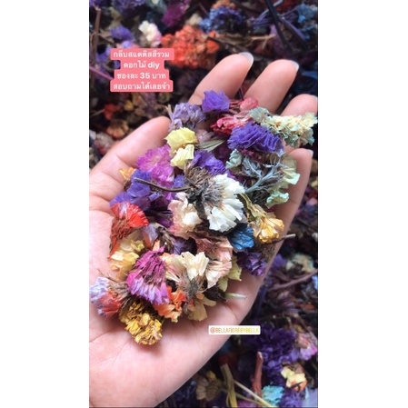 (พร้อมส่ง) ถูกมาก!!!! กลีบสแตติสสีรวม diy คละสี ซองละ 15 บาท