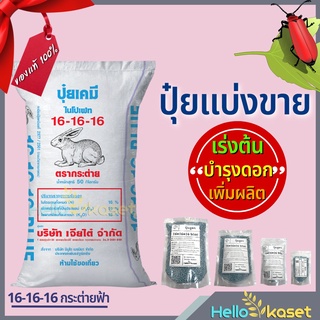 ปุ๋ยเคมี ปุ๋ยแบ่งขาย ปุ๋ยสูตรเสมอ ปุ๋ย16-16-16บลู ตรากระต่าย พรีเมี่ยม มีโบรอนผสม