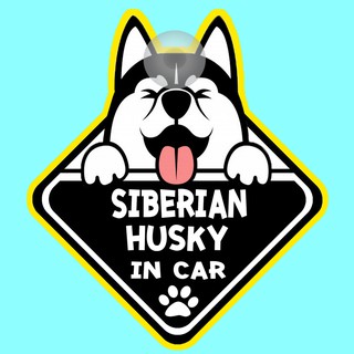 ป้ายติดรถยนต์ DIC45 จุ๊บติดกระจก DOG IN CAR ❤ Siberian Husky ❤ ป้ายติดกระจก ป้าย สติ๊กเกอร์