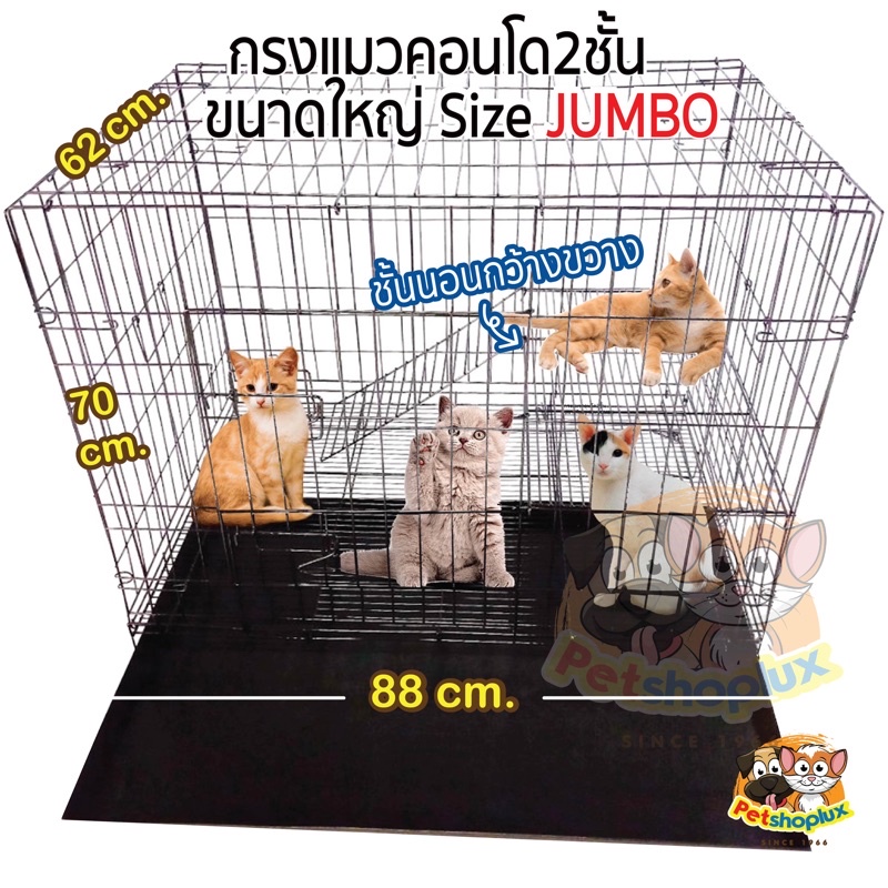 🔥10.10 กรงแมวคอนโด2ชั้น ขนาดจัมโบ้ No.1 กรงกระต่าย กรงสุนัข กรงหมา กรงสัตว์เลี้ยง (กรงจัมโบ้ ชั้นลอย