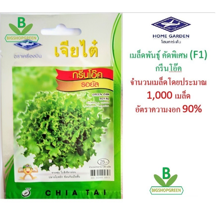 5 แถม 1 เมล็ดพันธุ์ กรีนโอ๊ค รอยัล เจียไต๋