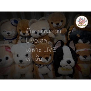 เฉพาะ Live!! เท่านั้น 🥰เหมาตุ๊กตา