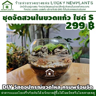 ชุดจัดสวนในขวดแก้ว ไซต์ S สวนเปิด ชุดตกแต่งธารน้ำใส 299 บาท