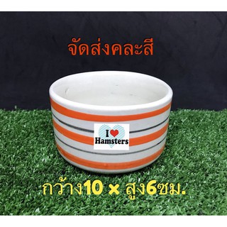 Rabbit Feeding Bowl Size L ถ้วยอาหารสำหรับกระต่าย เม่นแคระและสัตว์เลี้ยงขนาดเล็ก