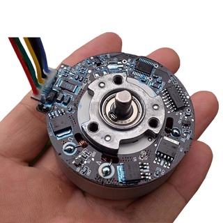 Muscular fascia gun Brushless Motor DC12V 2650 rpm high torque Support forward and reverse rotation PWM speed regulation