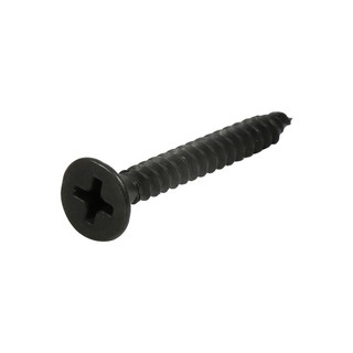 DRYWALL SCREW FITT 6X1-1/4" 20EA สกรูไดร์วอลล์ FITT 6X1-1/4" 20 ตัว สกรู, น๊อตและแหวน อุปกรณ์ยึดติด เครื่องมือช่างและฮาร