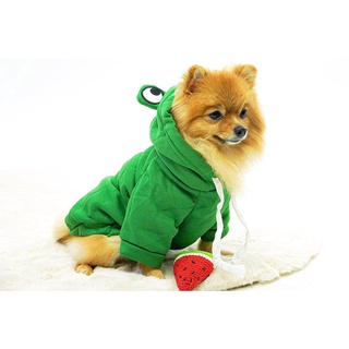 Pet frog clothing ชุดสัตว์เลี้ยง ลายกบเขียว