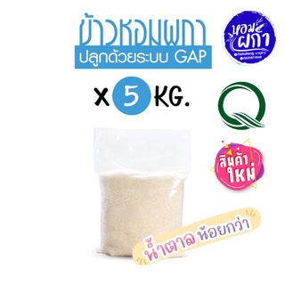 ข้าวกข43 แท้ 100% I 泰国大米品种编号43 I ตราหอมผกา ขนาดบรรจุ 5 กก.ปลูกด้วยระบบ GAP มีการควบคุมการใช้สารเคมีจากกรมการข้าว