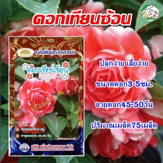 เมล็ดดอกเทียนซ้อน ปริมาณ75เมล็ด เมล็ดพันธุ์ดอกไม้ ดอกเทียนซ้อน เมล็ดดอกไม้ ตราภูเขาทอง